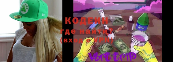 гашик Арсеньев