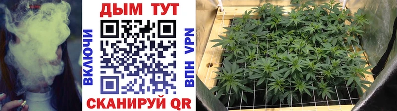 как найти   Ужур  МАРИХУАНА гибрид 